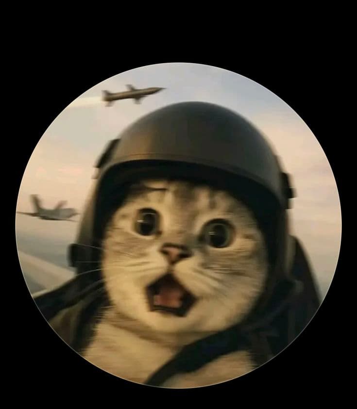 Profile photo of Muhamad Iqbal